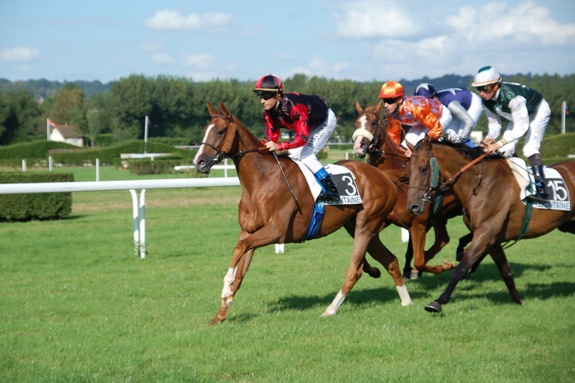 Horses racing at Deauville race track