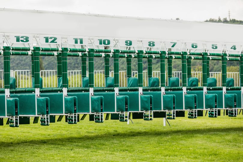 Set of Numbered Horse Race Starting Stalls
