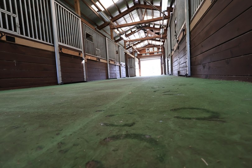 Hoof Prints on Stable Floor