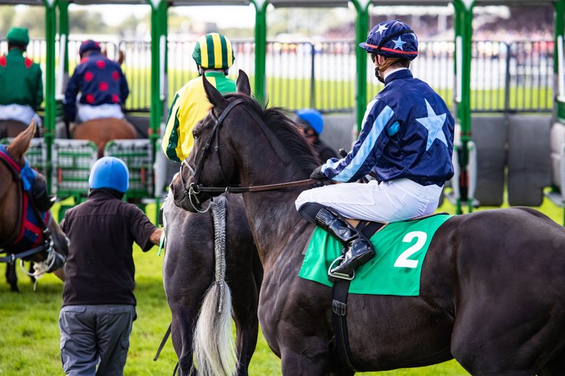Horses Loading into Race Start Gate