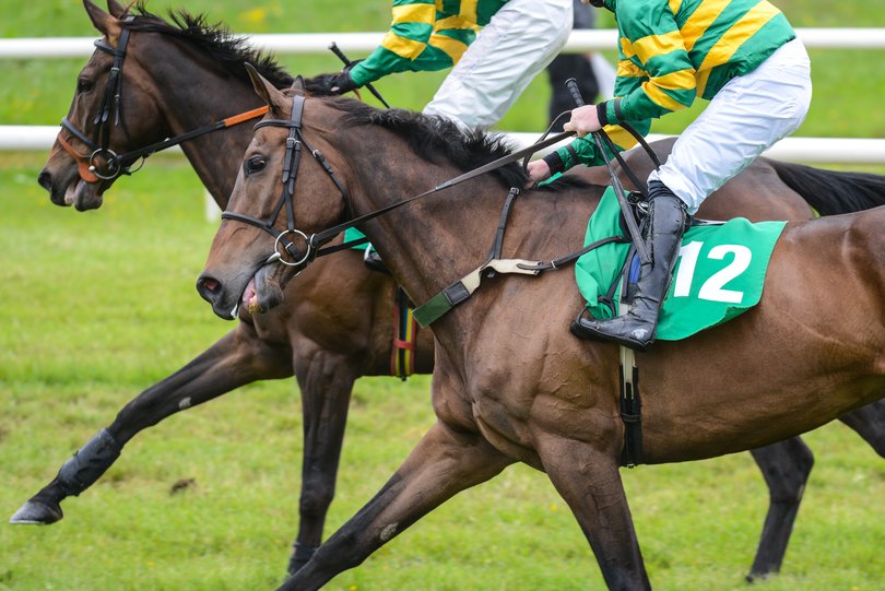 Two JP McManus Horses During Race
