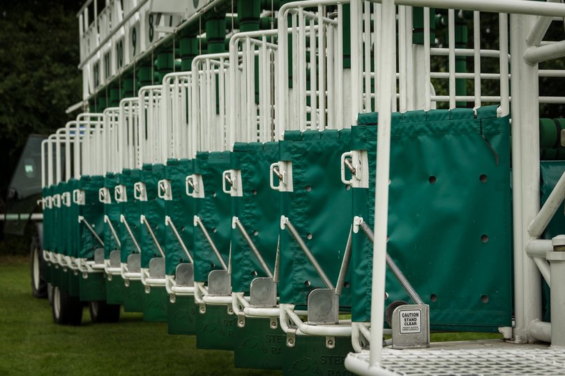 Horse Race Start Gate Close Up
