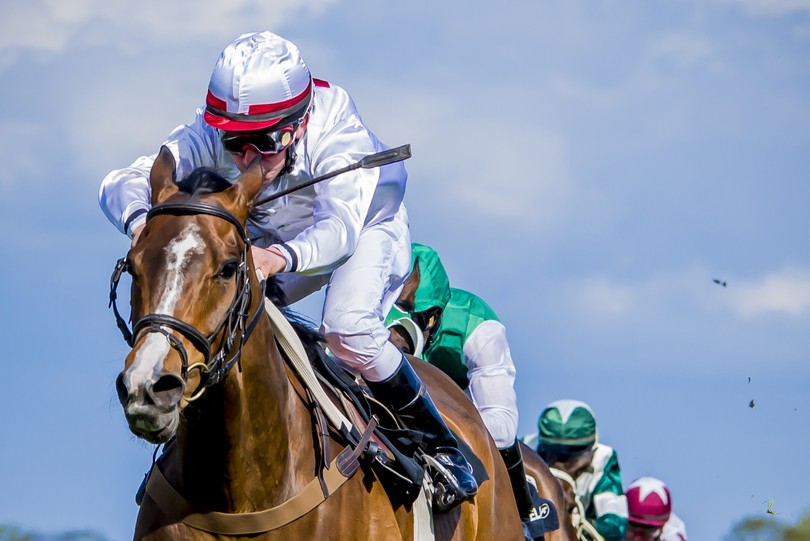 Line of Horses During Race