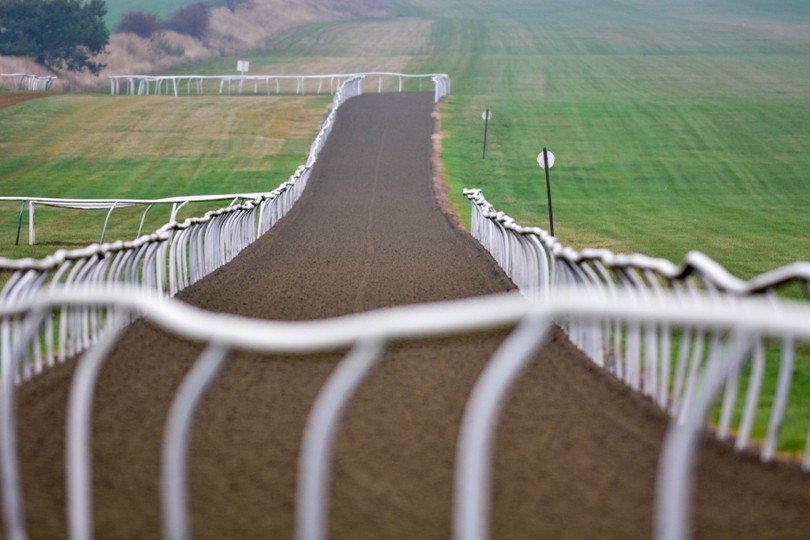 Empty Horse Training Gallops