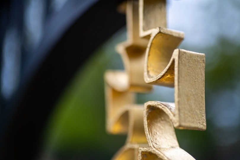Gold Detail on Ascot Iron Gate