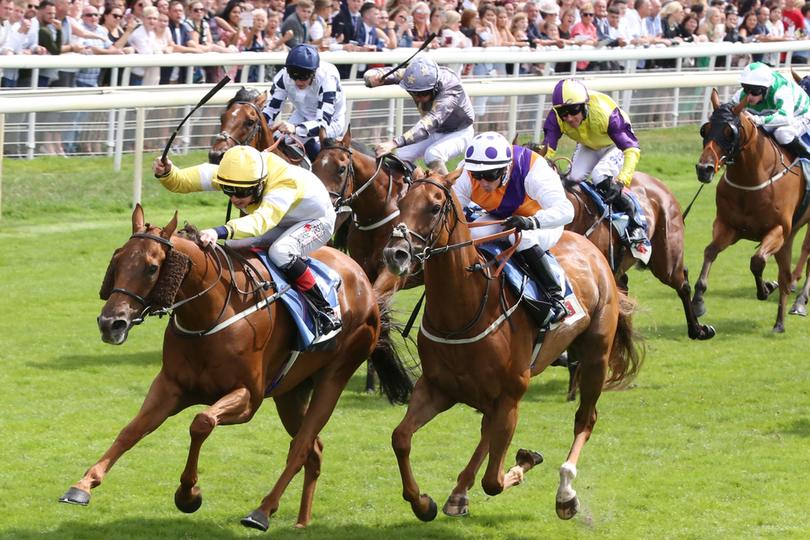 Horse Race Finish at York