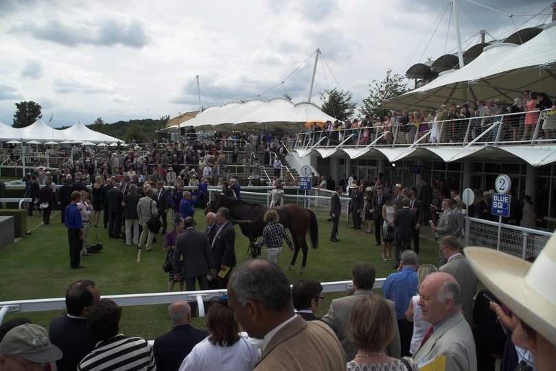 Goodwood Winners Enclosure