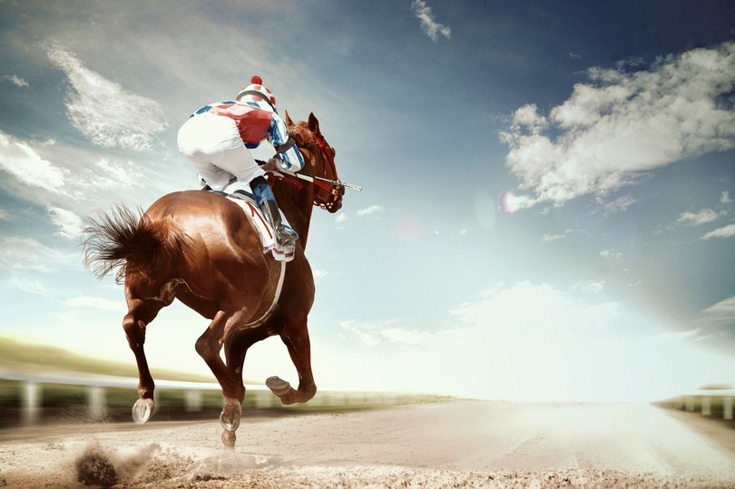 Horse Running Toward Bright Sky