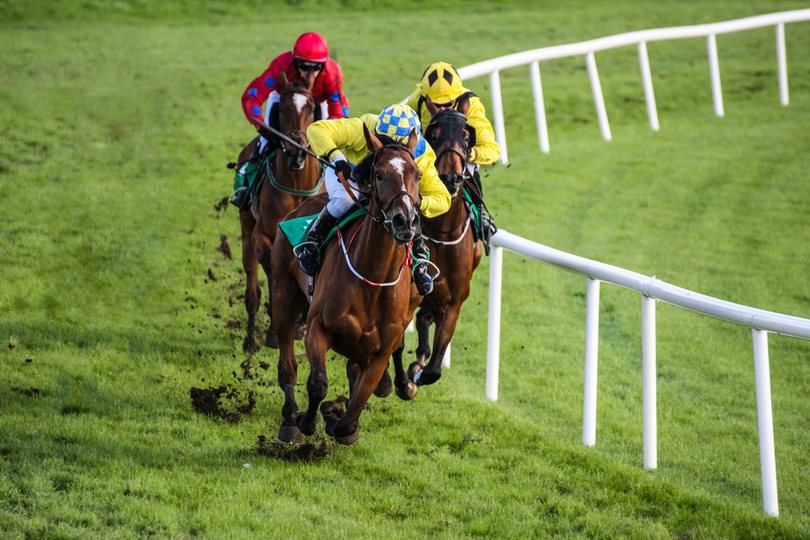 Three Horses Leading Race Around Bend