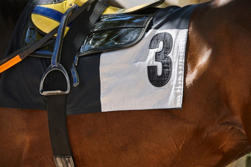 Light Brown Horse with Number 3 Saddle Cloth