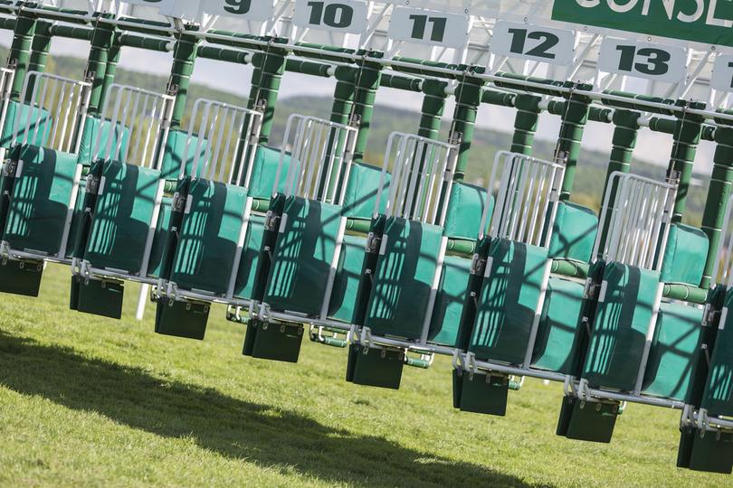 Angled Race Start Gate on Sunny Day