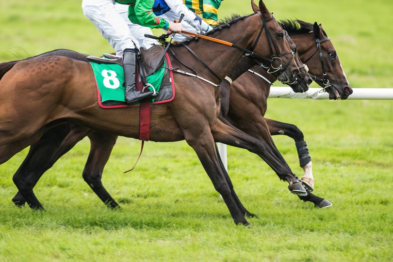 JP McManus Horse in Race Lead