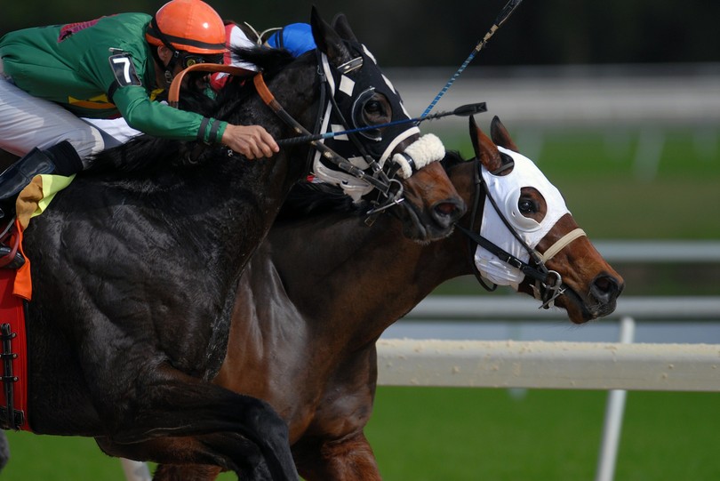 Two Horses Wearing Visors During Race